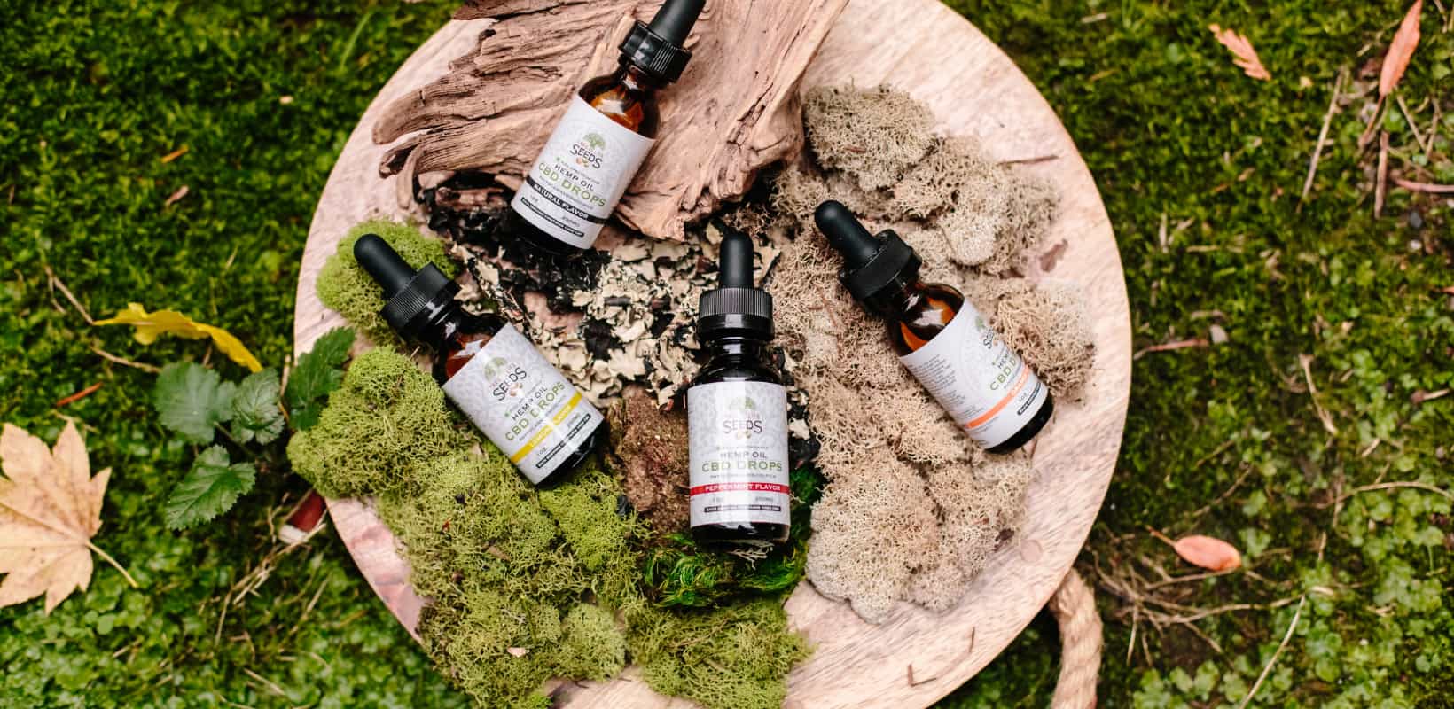 How To Enter CBD Industry: Top 10+ CBD Business Ideas