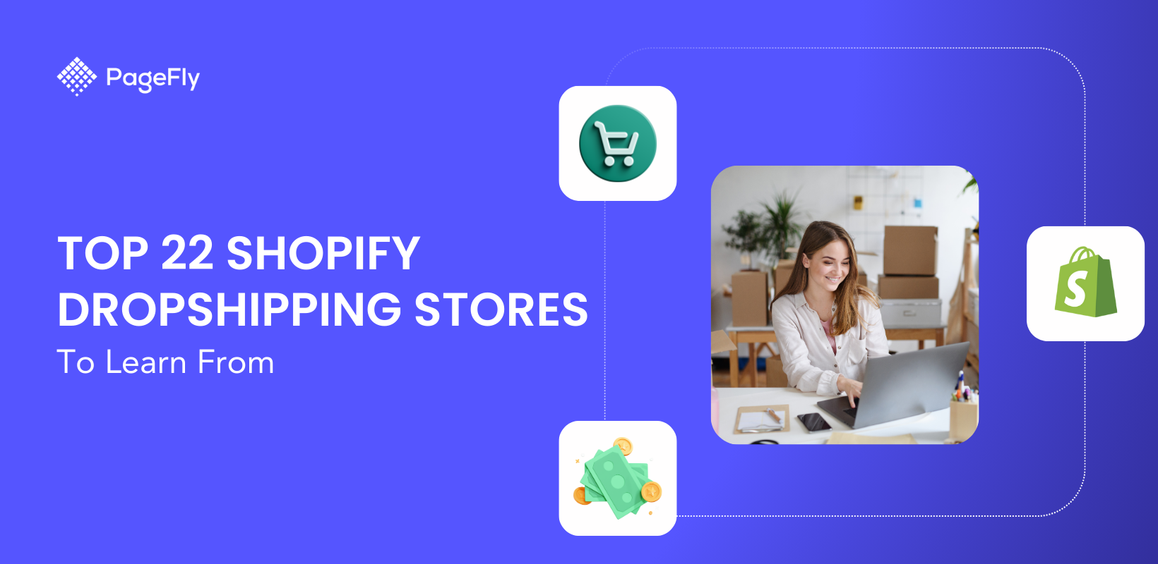 Top 22+ Shopify Dropshipping Stores To Learn From (Updated 2025)