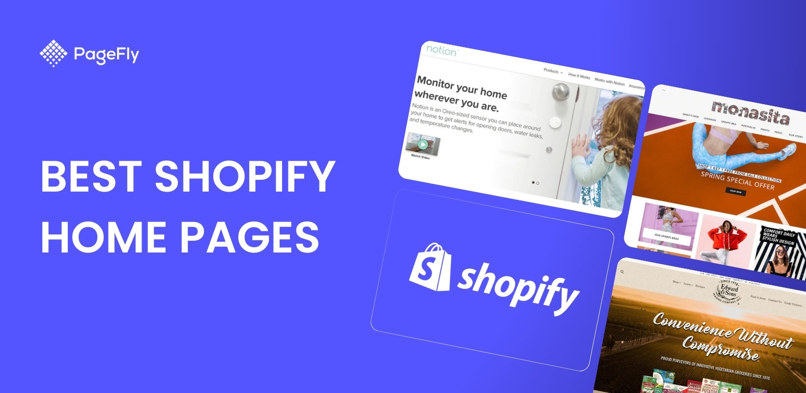 10 Best Shopify Home Pages Using PageFly Templates