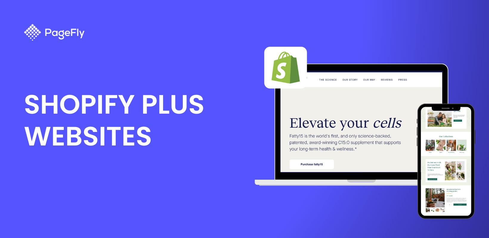 Shopify Plus Websites : Top 7 Examples To Inspire You