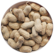 Golden Turmeric Granola Type